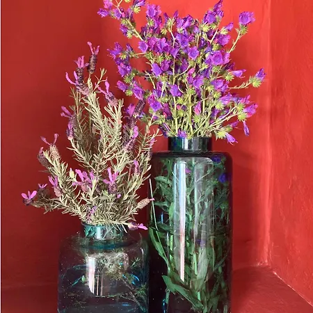 Sol Cinco בית נופש