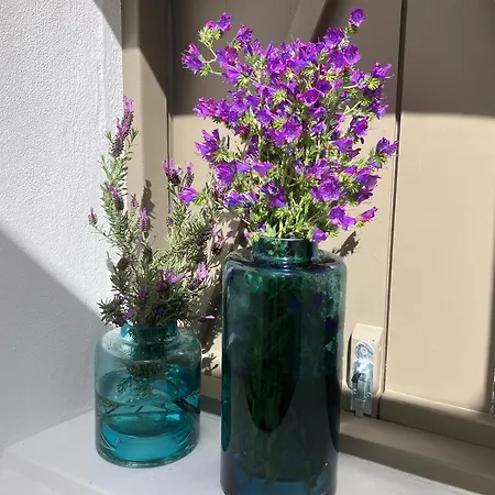 Sol Cinco Ferienhaus Arelho