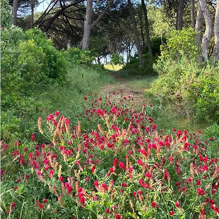 Σπίτι διακοπών Sol Cinco *