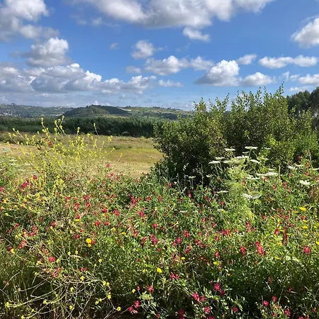 Sol Cinco Σπίτι διακοπών