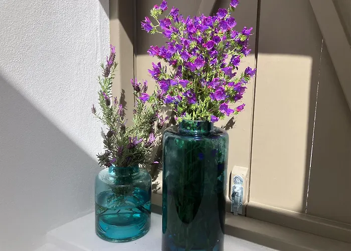 Sol Cinco Feriehus Arelho