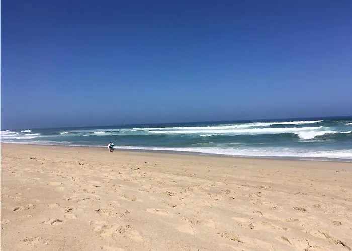 Sol Cinco