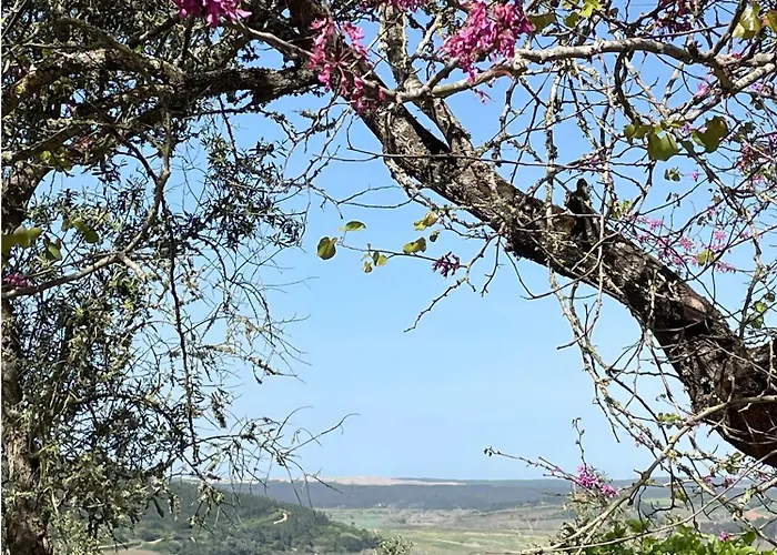 Sol Cinco